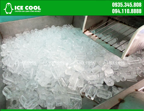 Đá viên tinh khiết được sản xuất bởi công nghệ tiên tiến ICE COOL