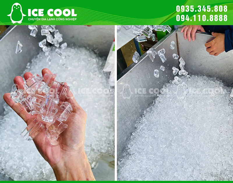 Đá viên tinh khiết từ máy làm đá viên ICE COOL