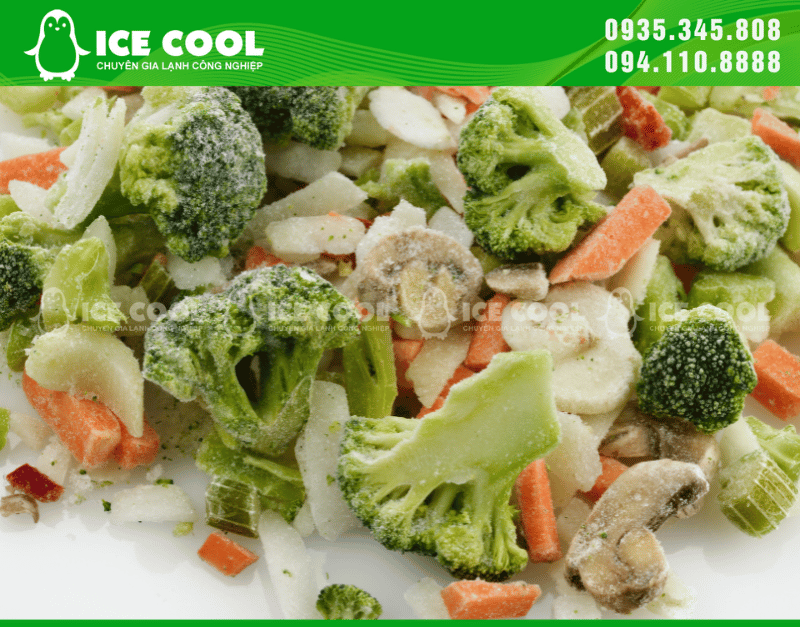 Rau quả được bảo quan trong kho lạnh ICE COOL chất lượng cao