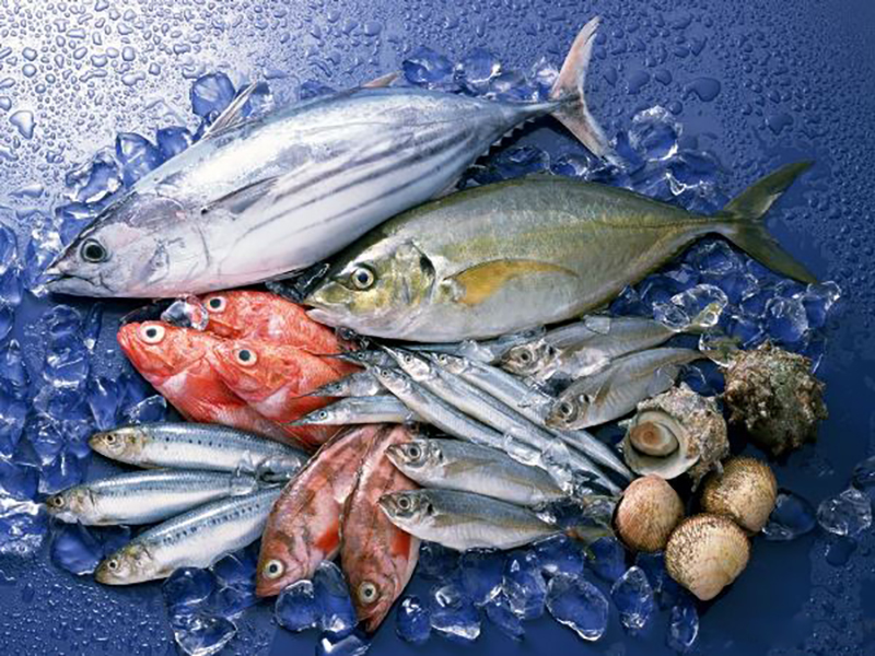 Bảo quản thuỷ hải sản bằng đá viên